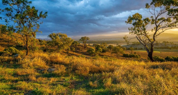 explore the beauty and wonders of nature, from lush forests and serene mountains to vibrant ecosystems teeming with life. discover the importance of preserving our environment and the adventure that awaits in the great outdoors.