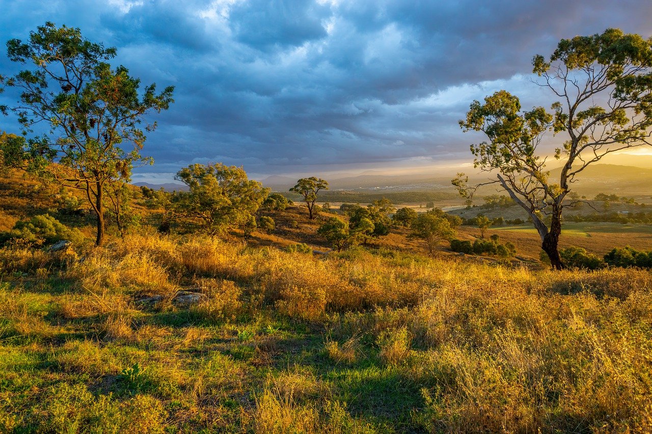 explore the beauty and wonders of nature, from lush forests and serene mountains to vibrant ecosystems teeming with life. discover the importance of preserving our environment and the adventure that awaits in the great outdoors.