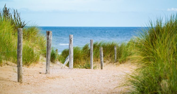 discover the ultimate beach vacations that offer breathtaking views, soothing waves, and unforgettable experiences. from relaxing on golden sands to thrilling water sports, find your perfect getaway and create lasting memories in paradise.