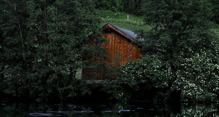 explore the beauty and wonders of nature, from breathtaking landscapes to diverse wildlife. discover how nature inspires and nurtures our well-being, and learn ways to connect with the great outdoors.