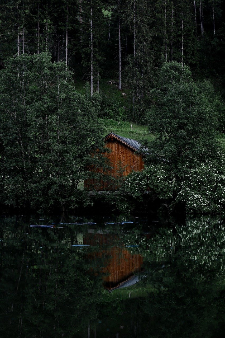 explore the beauty and wonders of nature, from breathtaking landscapes to diverse wildlife. discover how nature inspires and nurtures our well-being, and learn ways to connect with the great outdoors.