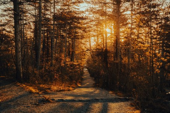 discover the best hiking gear to enhance your outdoor adventures. from durable backpacks to high-performance footwear, find everything you need for a safe and enjoyable hike.