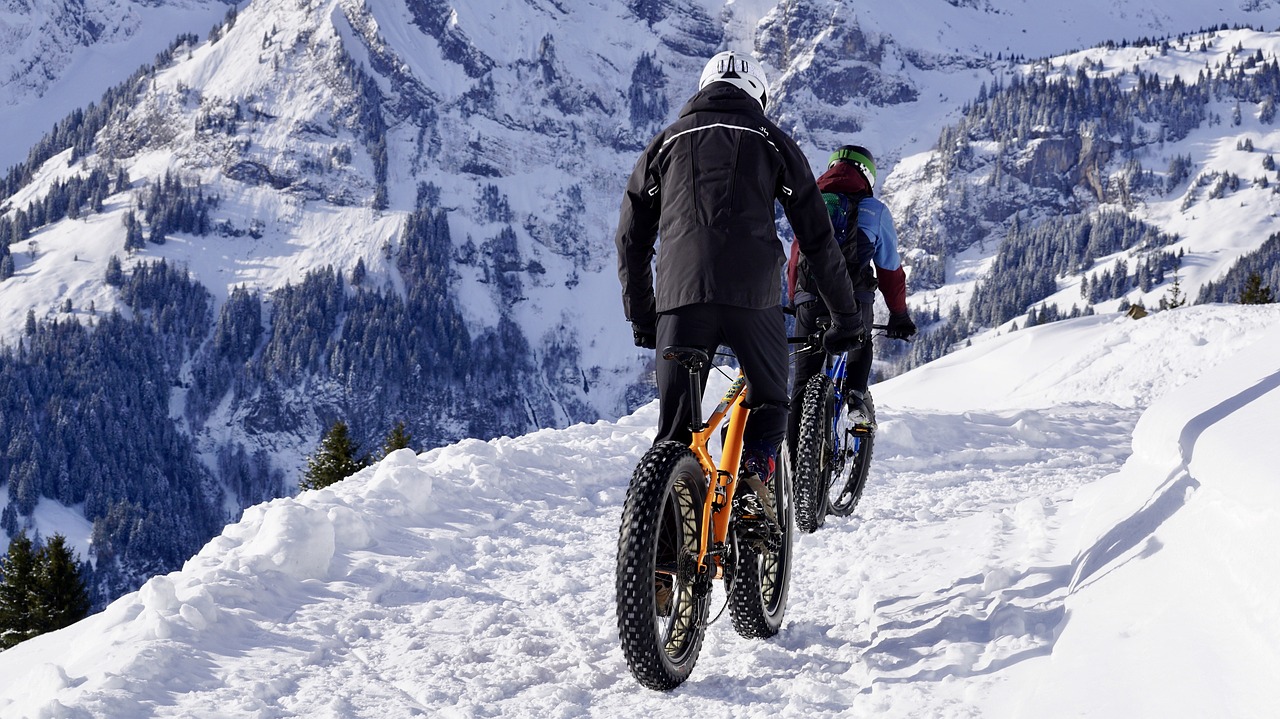 discover the exhilarating world of cycling, from stunning trails to competitive races. explore tips, gear recommendations, and cycling events that will elevate your ride and inspire your next adventure.