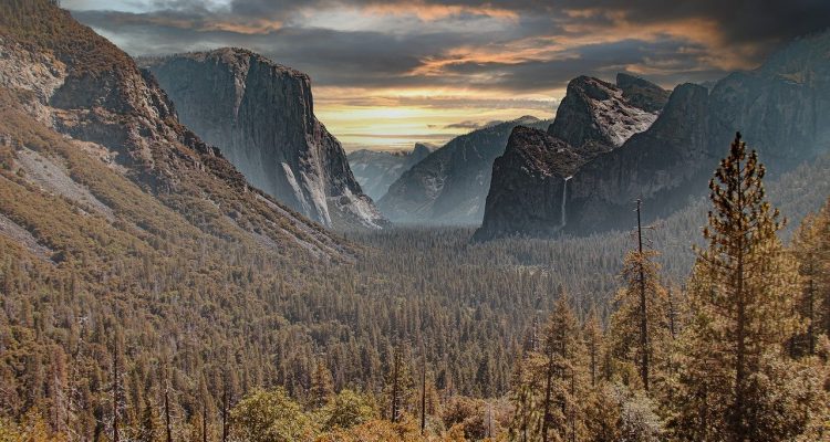 explore the breathtaking beauty of national parks, where stunning landscapes, diverse wildlife, and endless outdoor adventures await. discover the rich heritage and conservation efforts that preserve these natural treasures for generations to come.