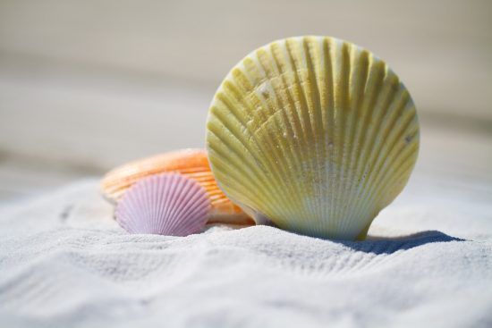 escape to paradise with our ultimate beach vacation guide. discover pristine shores, crystal-clear waters, and the perfect activities for relaxation and adventure. unwind in luxury resorts or quaint beach cottages, and create unforgettable memories under the sun.