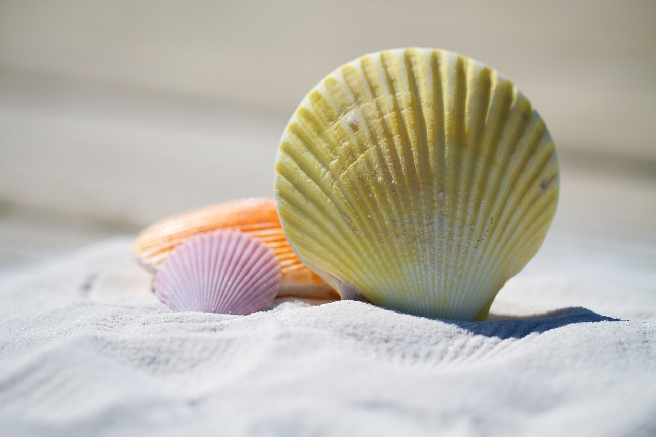 escape to paradise with our ultimate beach vacation guide. discover pristine shores, crystal-clear waters, and the perfect activities for relaxation and adventure. unwind in luxury resorts or quaint beach cottages, and create unforgettable memories under the sun.