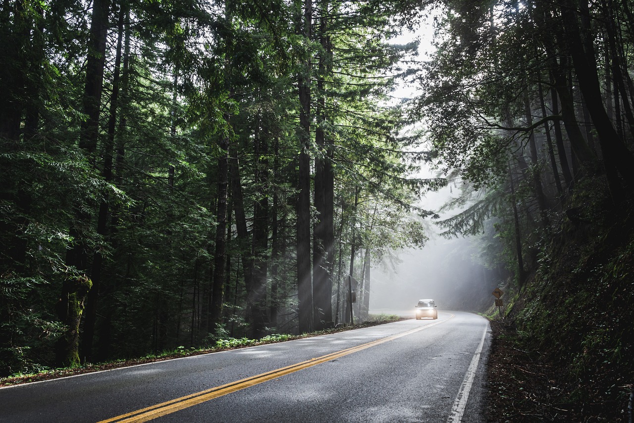 embark on an unforgettable road trip adventure. discover breathtaking landscapes, hidden gems, and vibrant cultures as you travel down scenic routes. perfect for travelers seeking exploration and freedom on the open road.