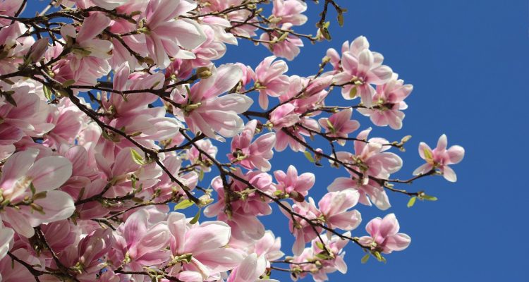 discover the ultimate guide to spring break! explore exciting destinations, fun activities, and tips to make the most of your vacation. whether you're planning a beach getaway or an adventure-filled trip, find all the inspiration you need for an unforgettable spring break.