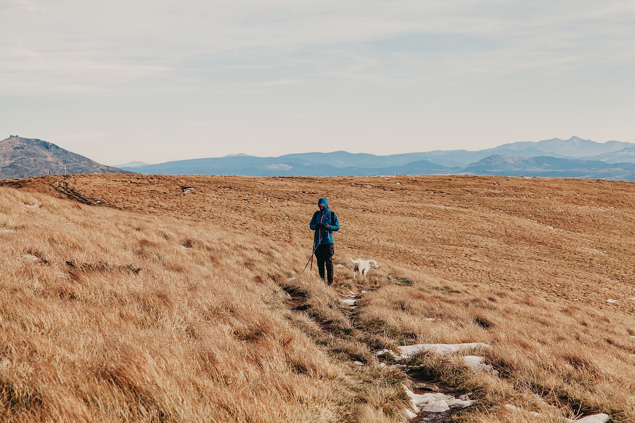 embark on an exhilarating journey with adventure! discover thrilling experiences, breathtaking landscapes, and uncharted territories that ignite your wanderlust and fuel your passion for exploration.