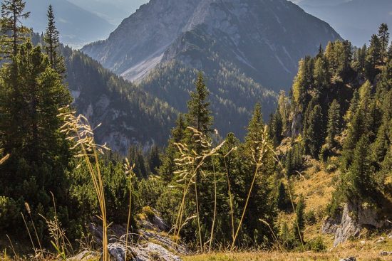 explore the world with a sense of wanderlust! discover breathtaking destinations, travel tips, and inspiring adventures that ignite your passion for exploration and create unforgettable memories.