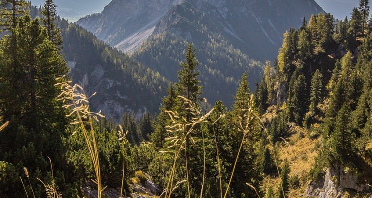 explore the world with a sense of wanderlust! discover breathtaking destinations, travel tips, and inspiring adventures that ignite your passion for exploration and create unforgettable memories.