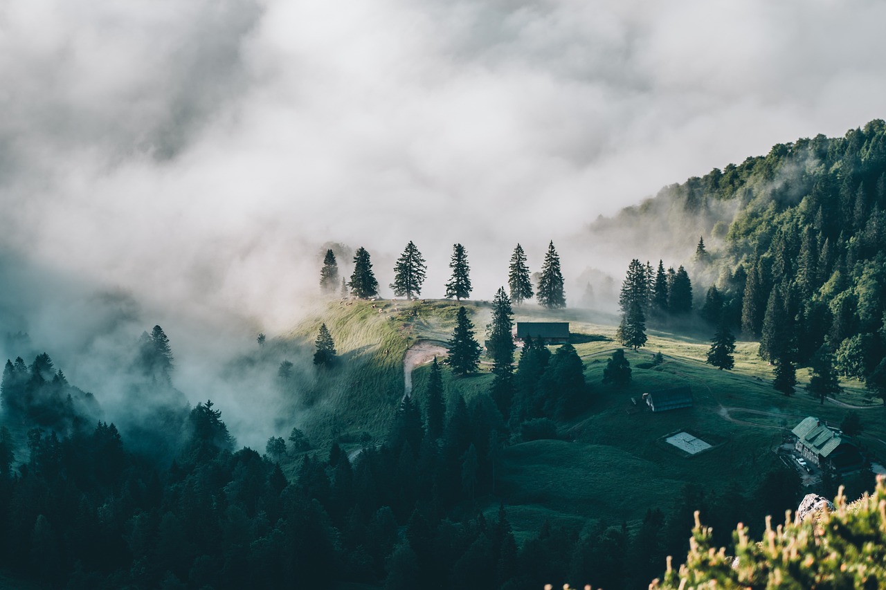 explore the world with our comprehensive travel guide, offering tips, destinations, and experiences to enhance your journey. discover new cultures, cuisines, and adventures that await you on your next trip.